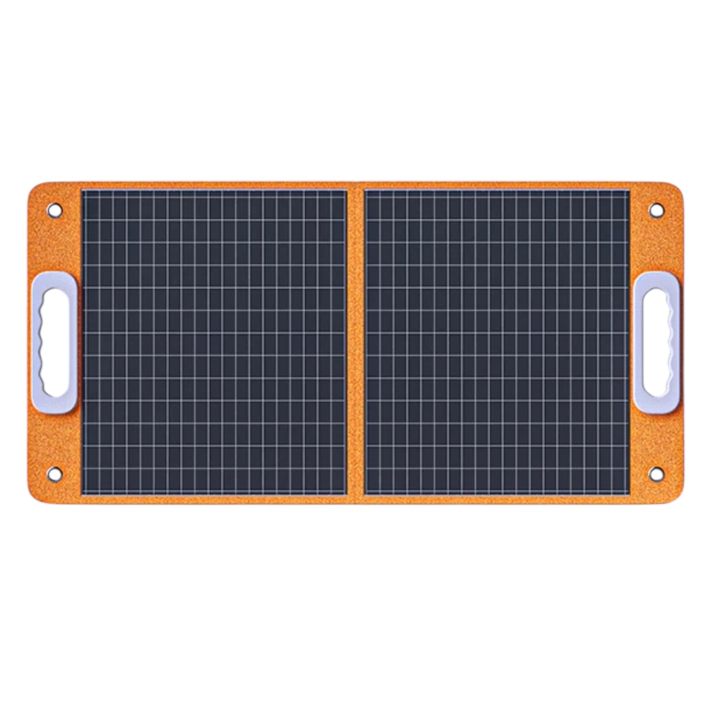 Draagbare Zonnepanelen 60W + Flash Fish E200 Power Station