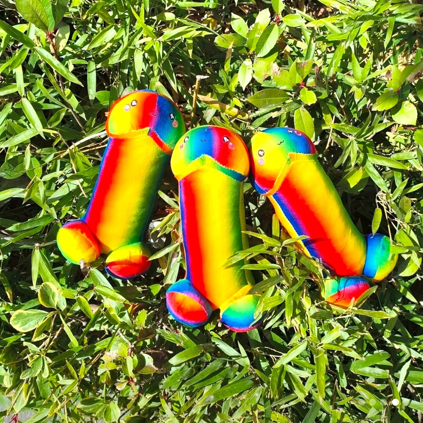 Pluche Regenboog Piemel Knuffel – 30 cm | Grappig Cadeau met Cute Face