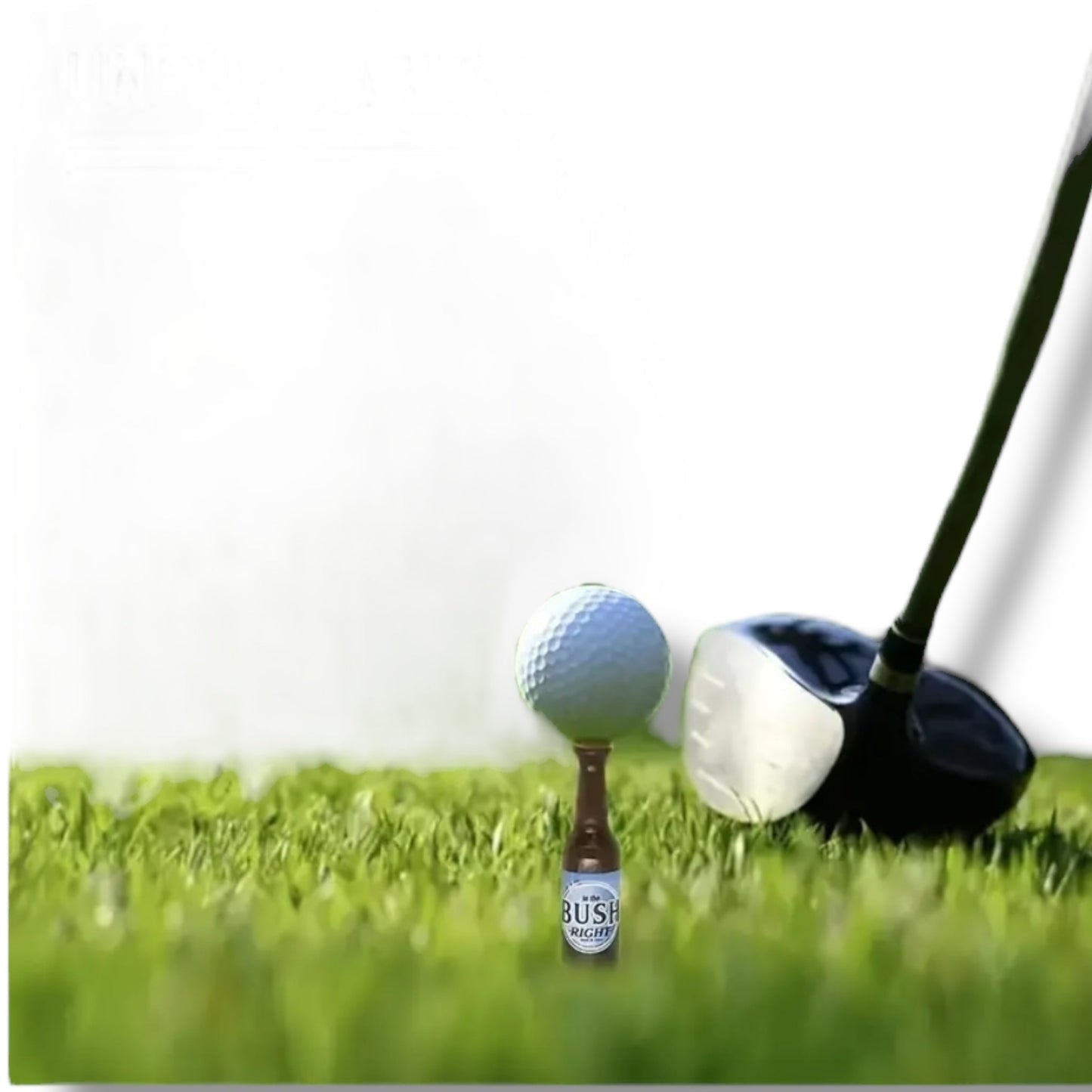 Golf Tees in Bierfles Vorm – Set van 6 Grappige Golfaccessoires