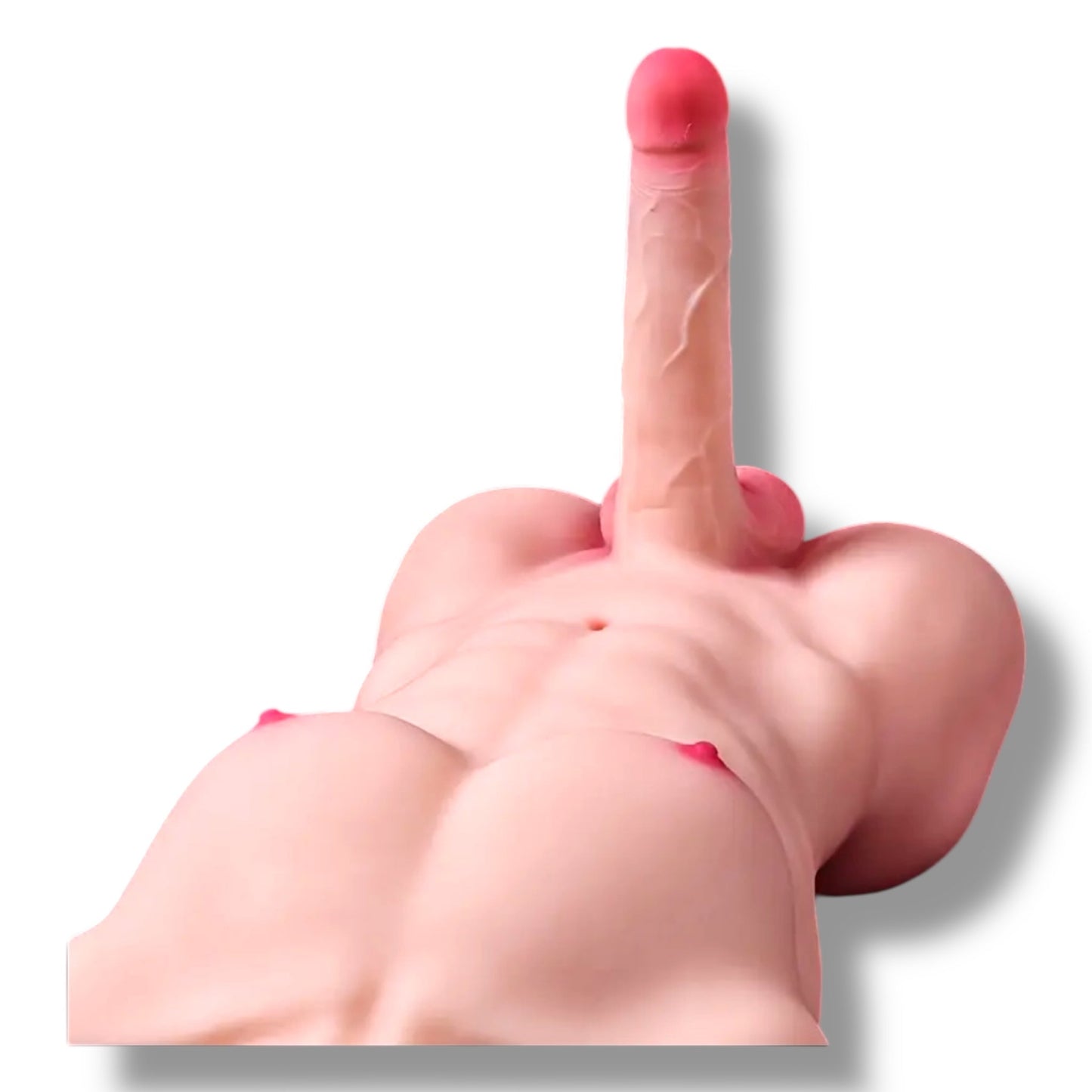Realistische Mannen Torso Sekspop – 50 cm, 26 cm Lengte, 8 kg