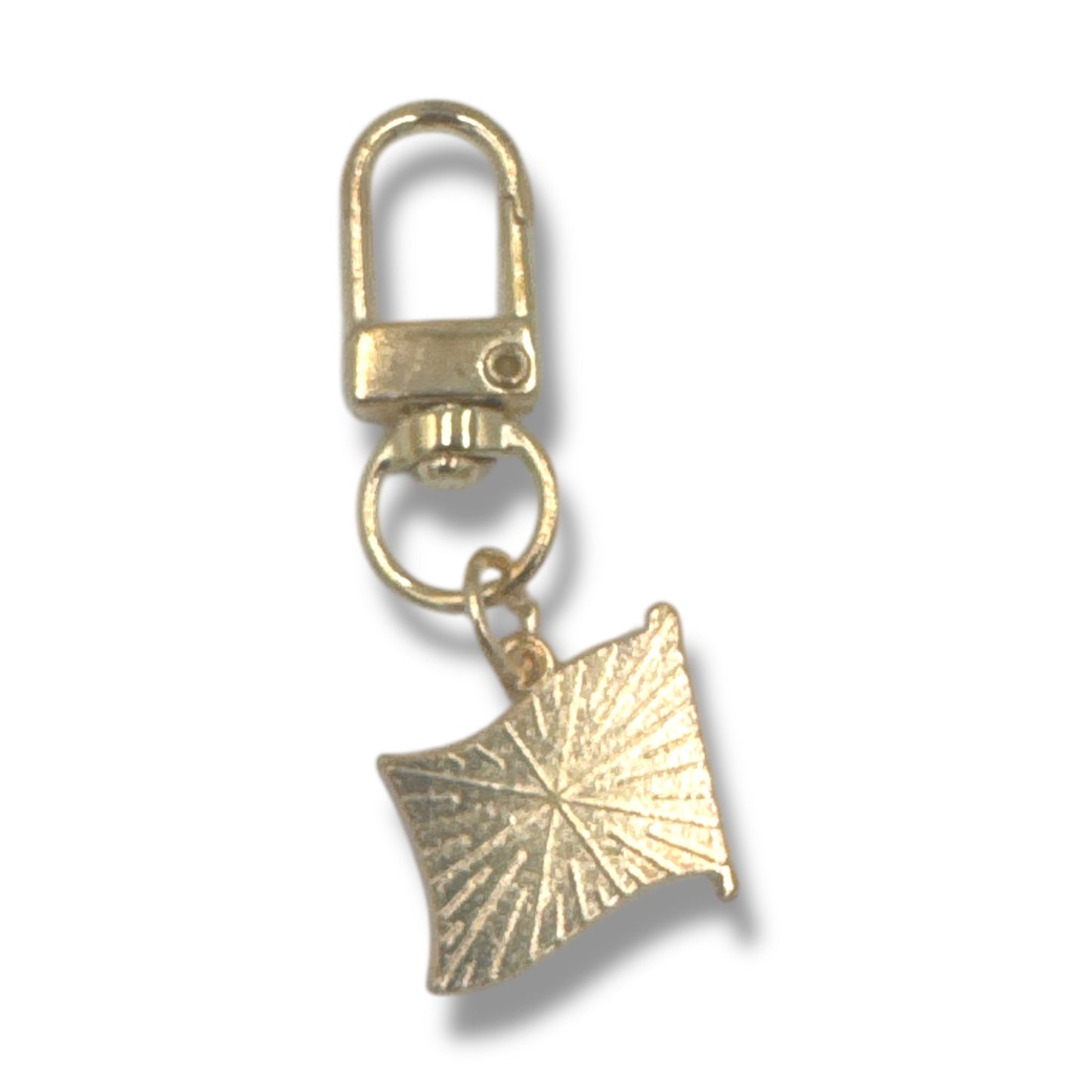 Regenboogvlag Sleutelhanger – Gekleurde LGBTQ+ Clip Hanger