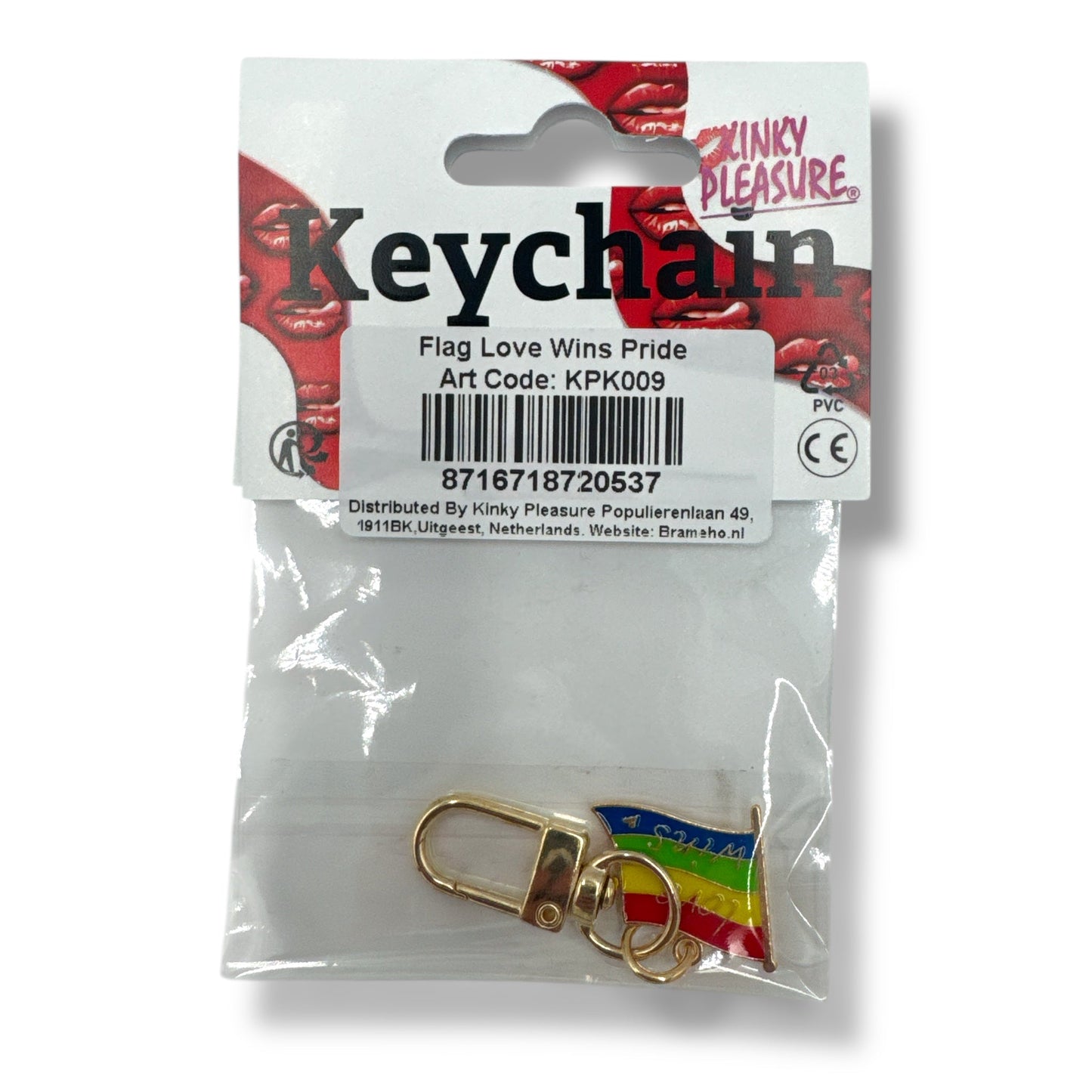 Love Wins Regenboog Vlag Sleutelhanger – Met Gouden Clip (Metaal)