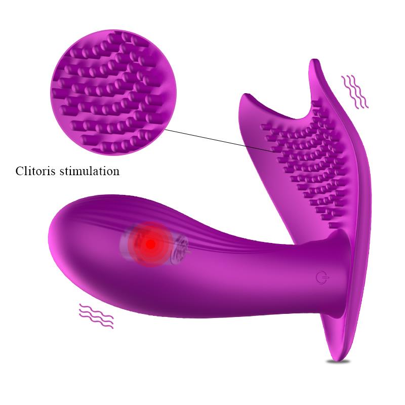 Remote Control Panty Vibrator - Heat Function - Voice Control - 10 Functions - Rechargeable - 9 cm x 9 cm - Luxury Gift Box - Purple