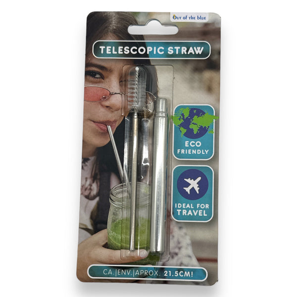 Telescopische Rietjes Metaal 21,5 cm - Herbruikbaar