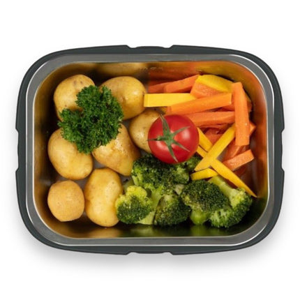 Faitron HeatsBox Pro - Electric Lunch Box for Hot Meals 