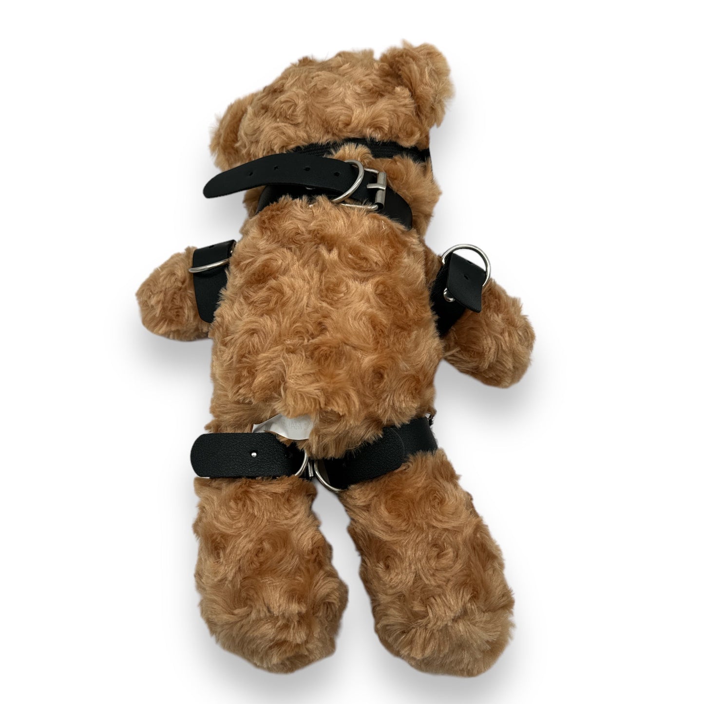 Teddy Bear Met Bondage Outfit - Verkrijgbaar in Bruin en Wit