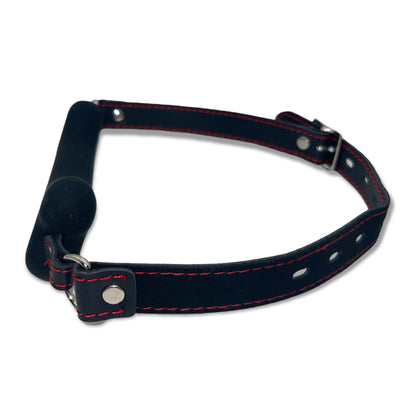Honden Bot Ball Gag - Ontdek je Ondeugende Kant