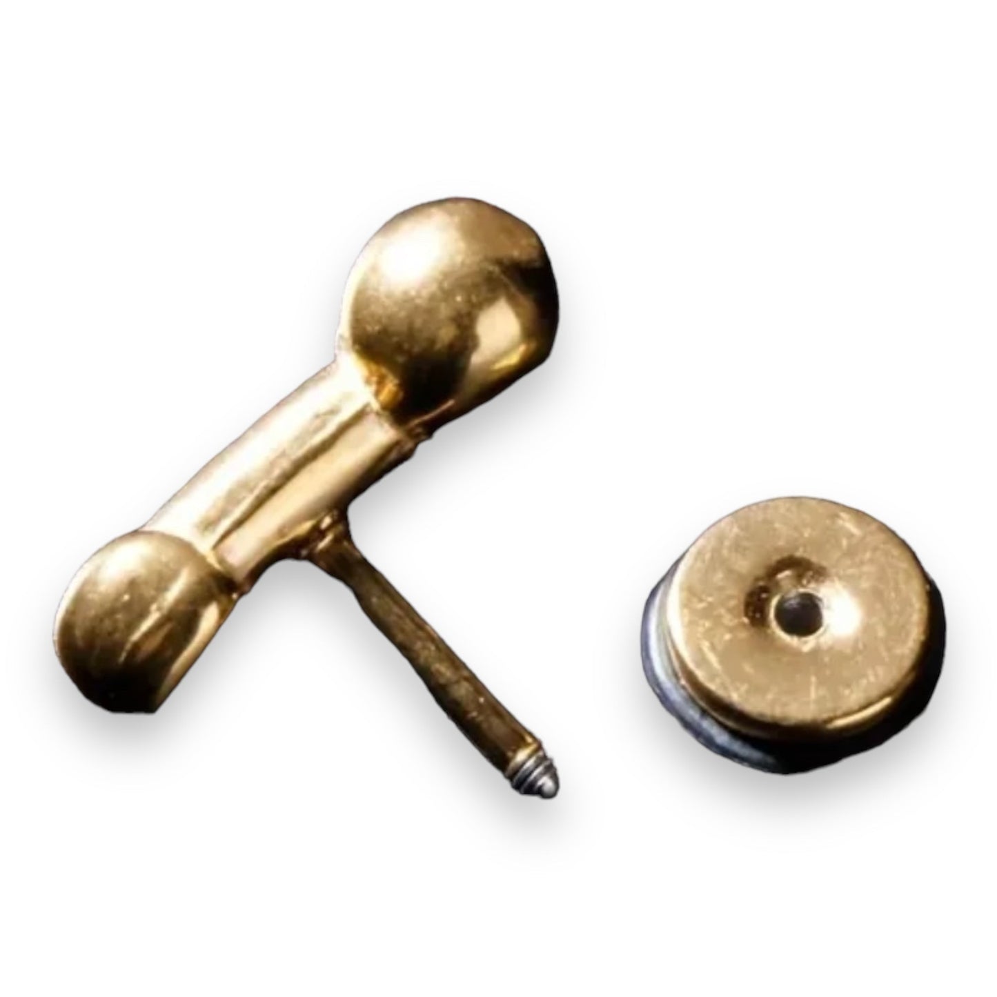 Penis Suck Me! Fuck Me! | Gedurfde Oorbellen in Zwart, Goud en Zilver