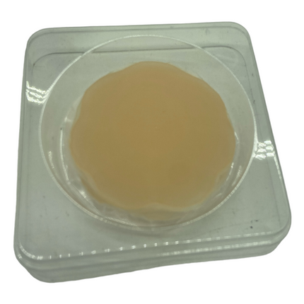 Tepel Covers Silicone Pads - 2 Stuks | Huidkleurige Siliconen Tepelhoedjes