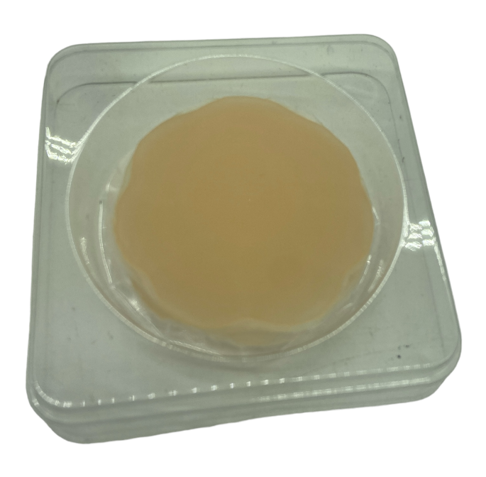 Tepel Covers Silicone Pads - 2 Stuks | Huidkleurige Siliconen Tepelhoedjes