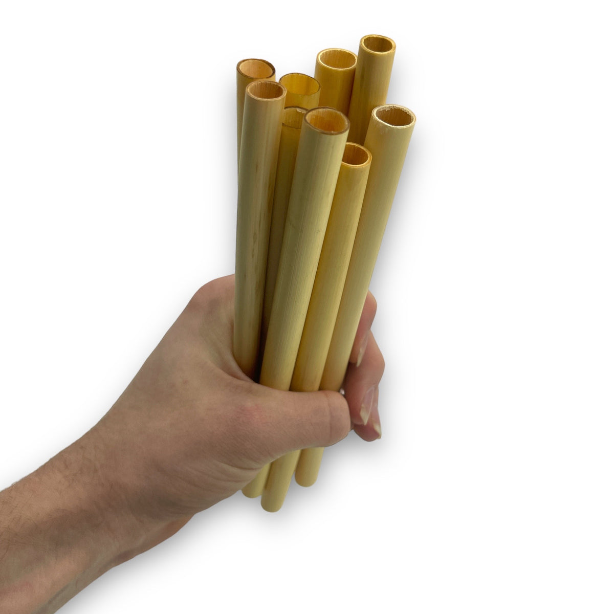 Bamboe Rietjes 10 stuks 20 cm - Herbruikbaar met Schoonmaakborstel