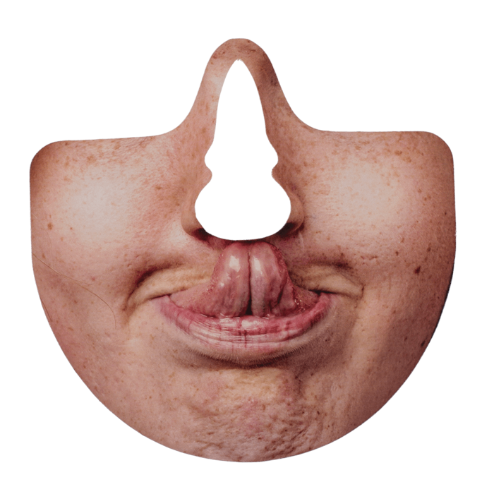 Verkleed Feest Neusmaskers - Voeg Plezier en Creativiteit Toe aan je Verkleedpartijen!