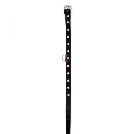 Choker Silver Fetish Collar with Stones - 2 cm Width - Adjustable - Easy to Hang