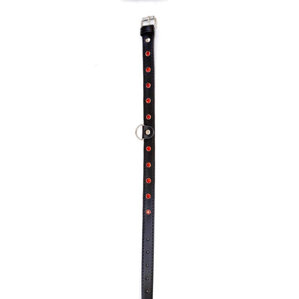 Choker Rode Stenen Fetish Kraag - 2 cm Breedte - Verstelbaar - Gemakkelijk op te Hangen