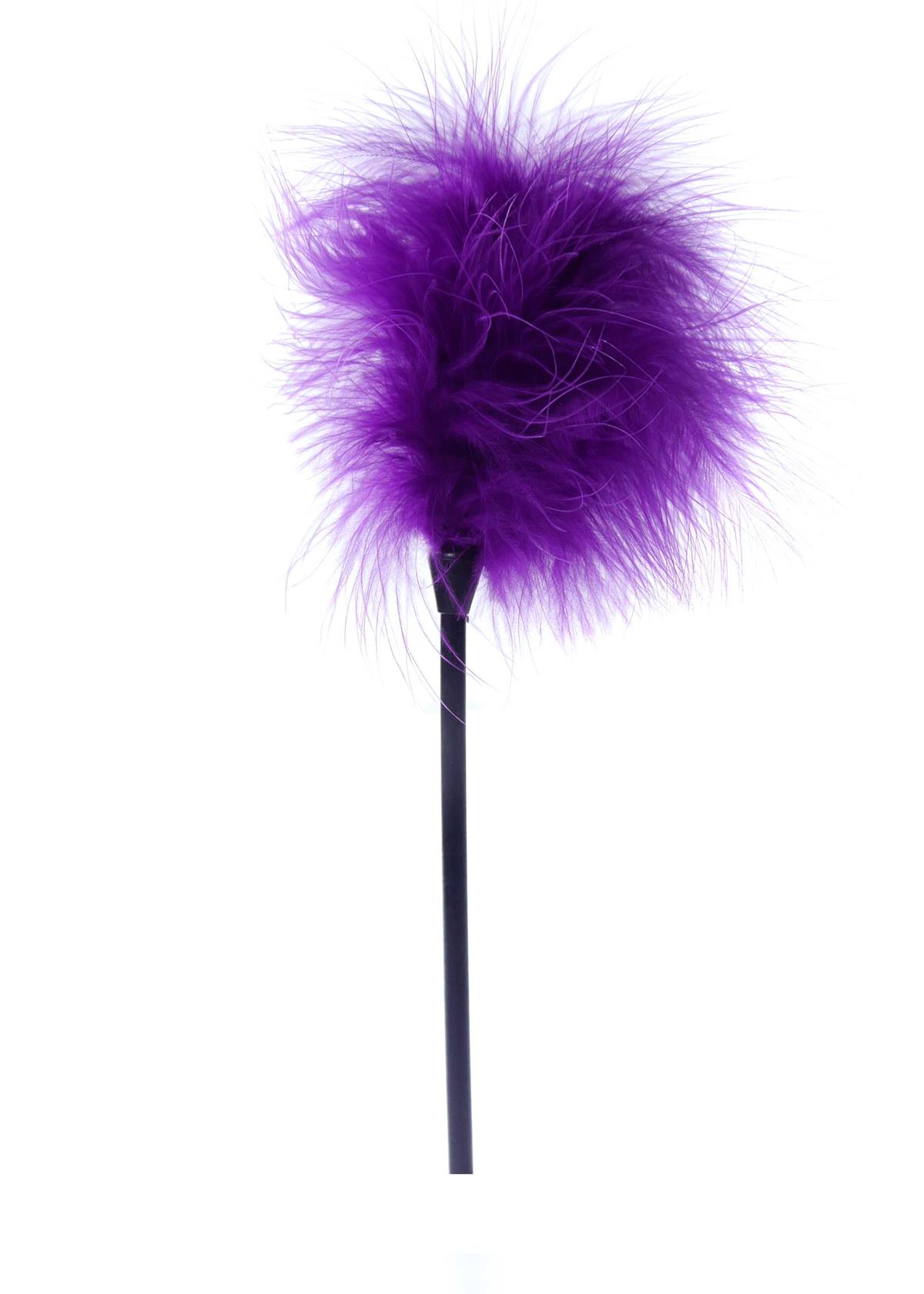 Bossoftoys - 61-00030 - Feather Tickler - Fetish Power - Purple - Colour Packing