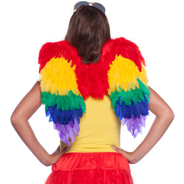 Beautiful Rainbow Pride Angel Wings - 60cm Imaginative Accessory for Pride Events and Fancy Dress Parties