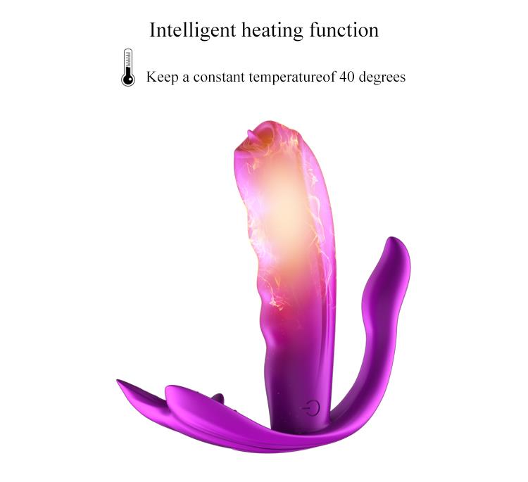 Remote Control Panty Vibrator - Heat Function - Clitoris Stimulation Function - 10 Functions - Rechargeable - Luxury Gift Box - Purple
