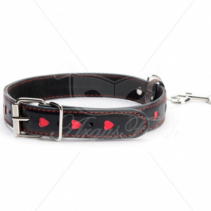 Argus Hart Halsband met Lijn - AF 001021