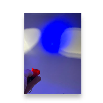 Sleutelhanger Roos met Licht en Geluid "I Love You" - Rood