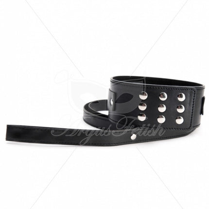 Argus Grote Halsband met Lijn - AF 001020