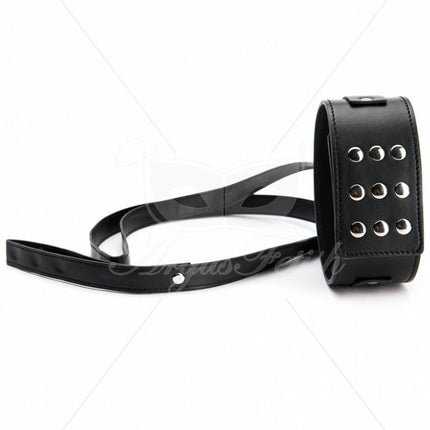 Argus Grote Halsband met Lijn - AF 001020
